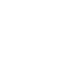 icon_cashflow